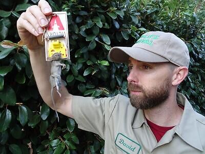 Paterson pest control